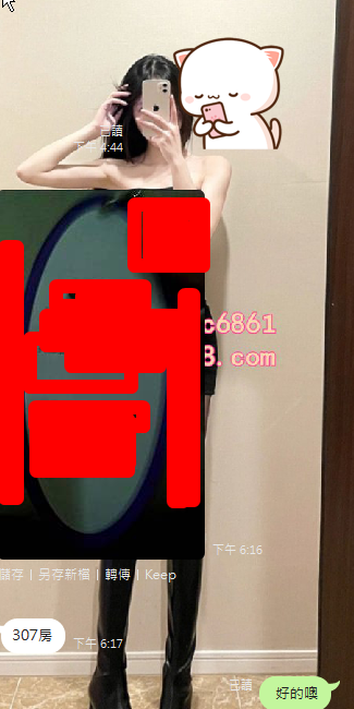 林迪迪 陳樂西  (1).png
